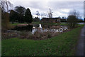 Village pond on Brickyard, Great Limber