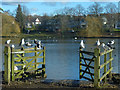 Double gate by Roath Park lake