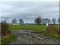 Cheshire farmland