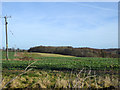 Country north of Lone Barn Road