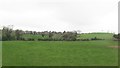 View NW from the A22 towards Scaddy