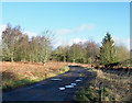 Access road for Stagshaw Kennels