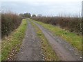 Track and footpath