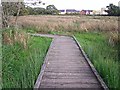 NY4058 : Boardwalk around wetland, Gosling Sike Farm by Rose and Trev Clough