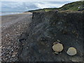 NZ4540 : The edge of the coal spoil on Horden Beach by Mat Fascione