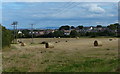 Farmland on the edge of Hartlepool