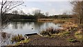 Brierley Waters