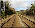 Borderlands Line north from Cefn-y-bedd station, Flintshire