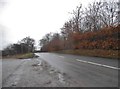 Littleworth Road, Littleworth Common