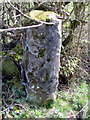 SJ2161 : Old gatepost and a bench mark in Ffordd Bryngwyn, Nercwys by John S Turner