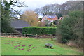 Corner of field on Chapel Lane