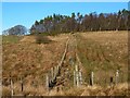 NS4086 : A stone wall between fences by Lairich Rig