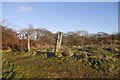 Fenceposts, Broomridge