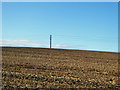 Power line across brown field