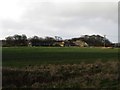 Looking towards Cresswell Home Farm