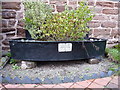 Listed horse trough, Beckbury