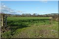 Farmland north of Pembridge