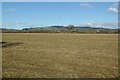 Farmland north of Pembridge