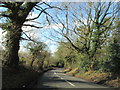 Callow Hill Lane Near Callow Hill