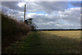 Field path near Creeksea