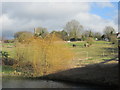 Sunlight on a field at Marsworth