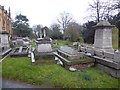 Snowdrops in St Margaret?s Churchyard, Lee