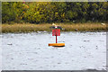 G9177 : Yellow and Red Buoy close to the Shore by David Dixon