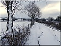 H5075 : Snow along a country lane, Ballynaquilly by Kenneth  Allen