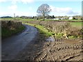 Country road passing Upper Mowley