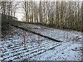 Terraces, Cathkin Park