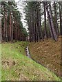 NJ0965 : Field drain in Roseisle forest by valenta