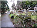 TQ2569 : St Mary, Merton: churchyard (vii) by Basher Eyre