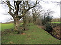 Llwybr Llethr Cadfan / Llethr Cadfan Path