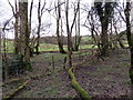 Llwybr Llanfihangel Cilfargen/ Llanfihangel Cilfargen Path