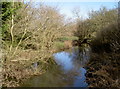 The Frome from Damsons Bridge