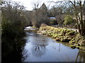 Downstream from Damsons Bridge