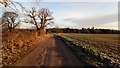 Footpath on Farm Track Near Nowton