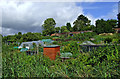 Allotments near Rainbow Hill in Worcester