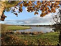 The Salt Pan, Sandbach Flashes