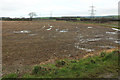 Wet field near Leeches Farm