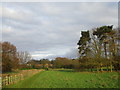 Footpath to Barnoldby le Beck