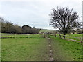 Path to East Dean