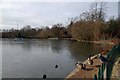 Icy Lower Lake in Crystal Palace Park