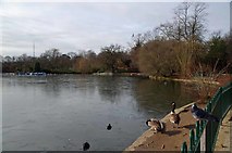 TQ3470 : Icy Lower Lake in Crystal Palace Park by Glyn Baker