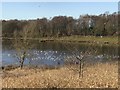SJ7948 : Bateswood Lake with gulls by Jonathan Hutchins