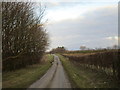 Washing Dales Lane