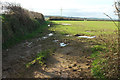 Field near Tredethy