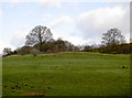 Pillow mounds in Little Sodbury