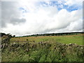 NZ0655 : Grazing field on Boundary Lane by Robert Graham