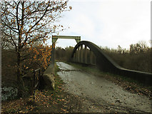 SE3430 : Former railway bridge over the  Aire and Calder Navigation - top by Stephen Craven